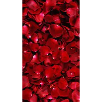 Decoration Rose Petal